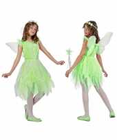 Carnaval feest toverfee verkleedoutfit met vleugels voor meisjes carnavalskleding