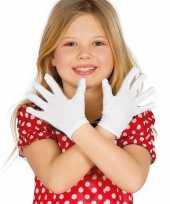 Carnaval handschoenen wit voor kinderen carnavalskleding