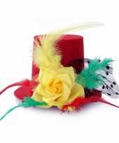Mini hoedje op clip in carnaval kleuren carnavalskleding