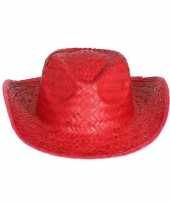 Strohoed rood voor toppers 2019 voor volwassenen carnavalskleding