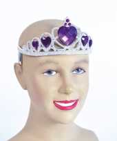Zilveren tiara met paarse stenen carnavalskleding